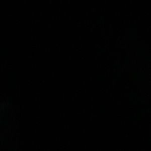 Meet your Posher, Ruthie